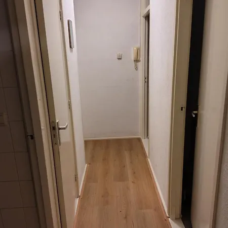 For Short *